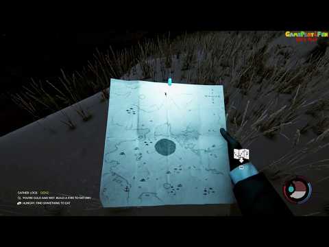 The forest где найти енотов, место где появляются еноты на карте