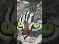 #oilpainting #cat #🖌️#🐈‍⬛#oilpainting #cat