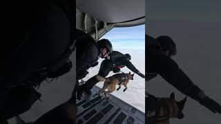 K9 Team Clears the Ramp at 13,000 Feet 🇺🇸