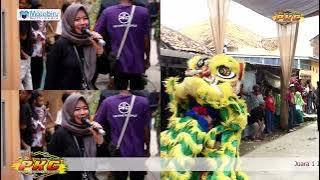 Pegel ati - burok pkc live desa kalimukti pabedilan cirebon 15 april 2025@PKCOFFICIAL