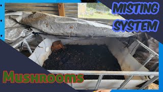 Cheap and Awesome misting system from Amazon Using for my mushrooms growing