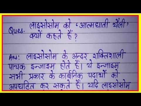 लाइसोसोम को आत्मघाती थैली क्यों कहते हैं/lysosome ko aatmghati thaili kyon kahate hain