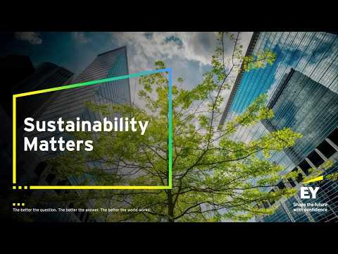 How national climate plans can reshape global investments