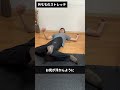 詳しい解説はコメント欄に書いとくよ #内もも痩せ #shorts