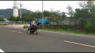 Story wa, jatuh motor lucu..