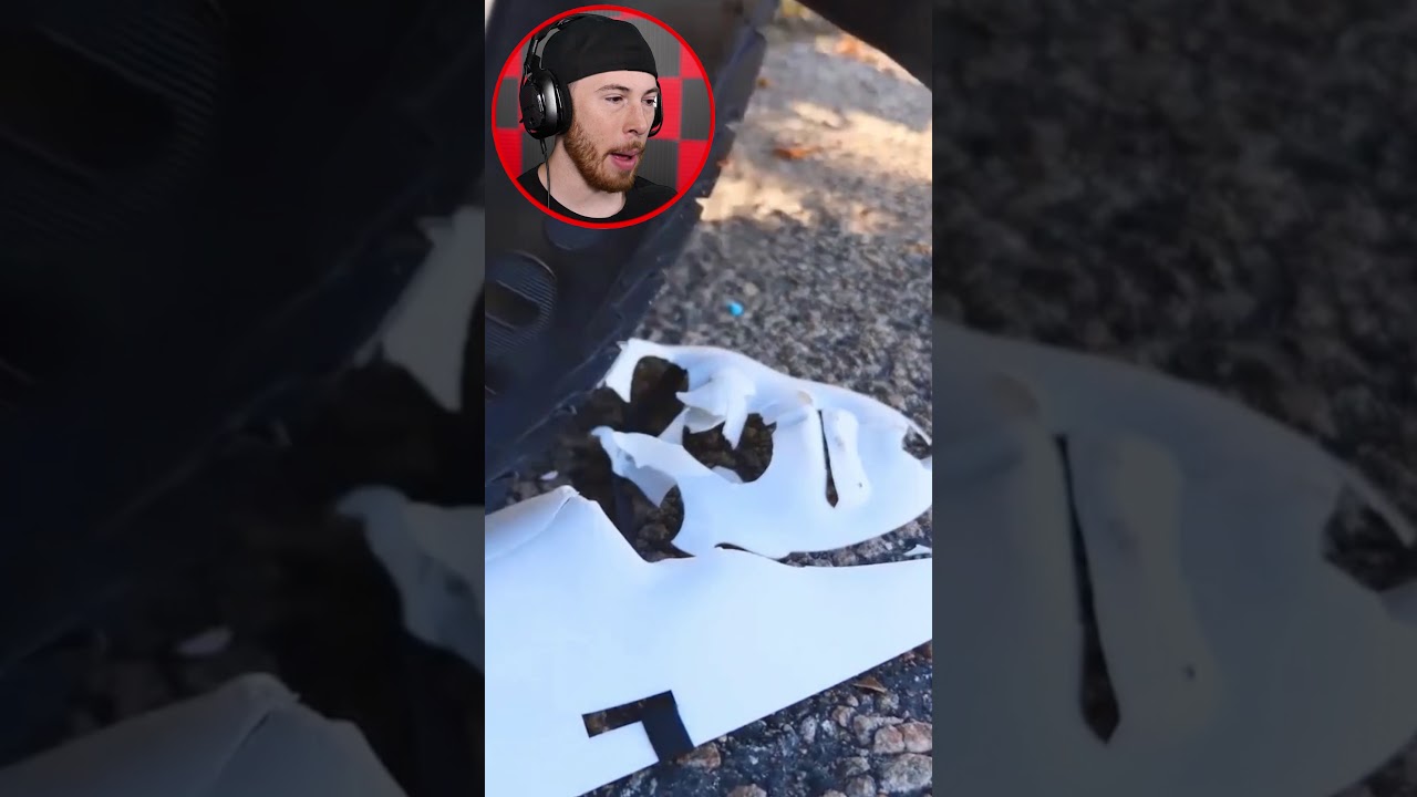 Dog Toys Vs SHREDDER