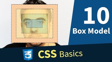 CSS Tutorial — Box Model (10/13)