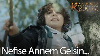 Mert Nefise annesi gelmeden okula gitmek istemiyor! -  Kanatsız Kuşlar🕊🕊 23. Bölüm