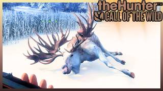GRIND DE ALCE EM TAIGA- THE HUNTER CALL OF THE WILD #greatone #cotw #ps5