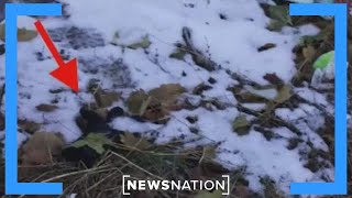 Retired detective found glove at Idaho crime scene | Banfield