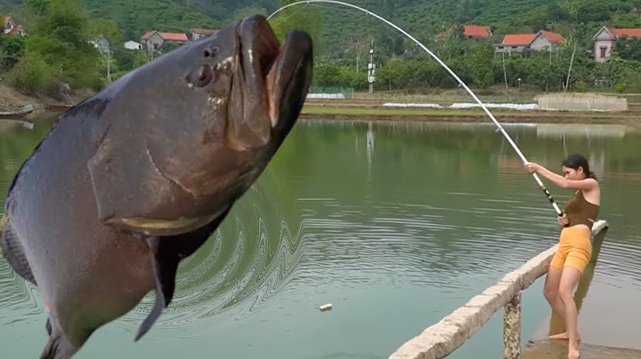 Because the technology is too good to join the blacklist  the beautiful woman fishes in the super-l