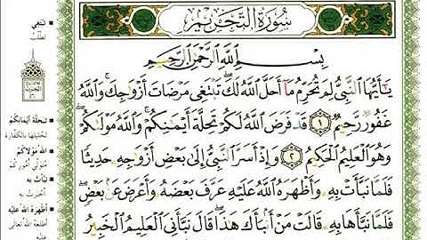 سورة التحريم _ القارئ عبدالرحمن العوسي _ المصحف المرتل