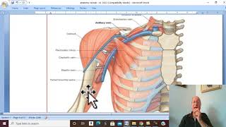 Musculo-skeletal Module I in Arabic  34 ( Axillary Artery , part 1  ) , by Dr. Wahdan 2022