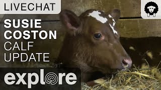Susie Coston Gives Update On Calf - Farm Sanctuary Live Chat 10/19/17 by Explore Farm Life 6,450 views 6 years ago 42 minutes