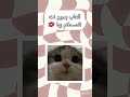 العاب بدون نت انصحكم بها  اوتاكو سبيستون اكسبلور بنات كرتون