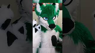 WHAT INSPIRED ME TO DO YOUTUBE  #furries #furr #furrie #fursuit  #furs