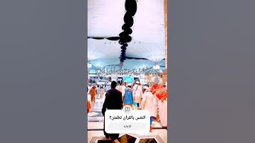 تلاوة خاشعة الشيخ محمد أحمد حسن #quran #like #islam #islamic #explore #tiktok #fyp #تلاوة_خاشعة