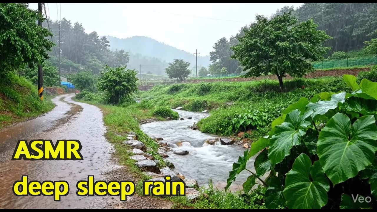 ASMR, 잠이 오는 영상, deep sleep rain, 백색소음, 힐링 영상, 불면증 치유, 빗소리, 폭우, the sound of rain, 잠이 오는 빗소리