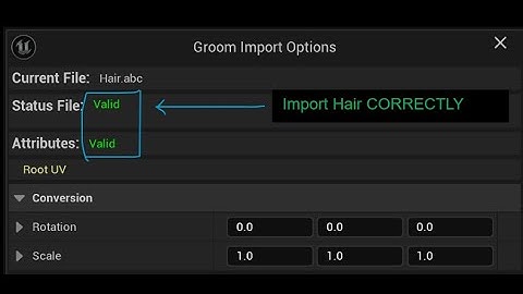 Import Blender Hair to Unreal Engine (DIY) — Alembic Groom FULL Setup for Beginners (UE5)