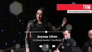 Zeynep Cihan- Yol Üstünde Karakol Resimi