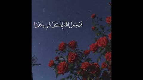 رعد الكردي 💙 تلاوة جميلة 🔊 أجمل حالات واتس اب دينية مقاطع دينية قصيرة مقاطع انستقرام دينية