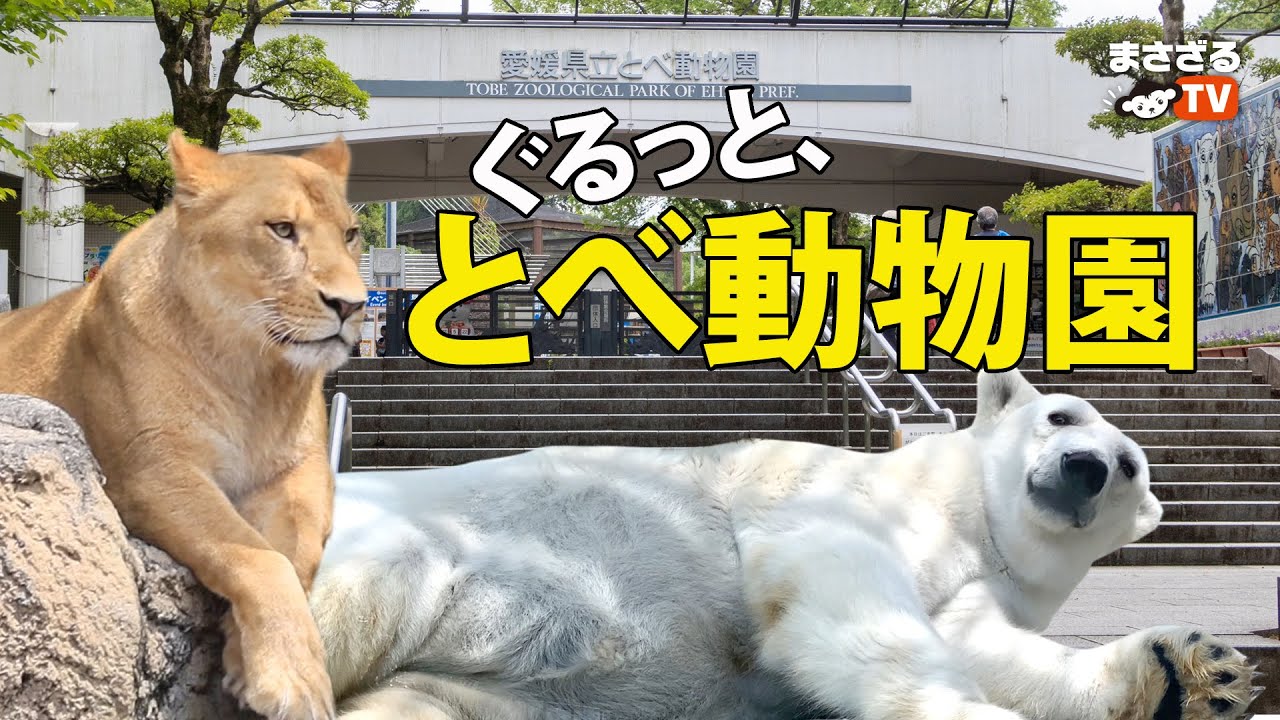 【一緒に行こう】ぐるっと、とべ動物園 〜愛媛県立とべ動物園〜