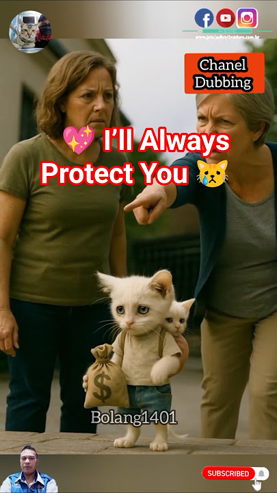 💖 Always Protect You 😿 #shorts #animalrescue #shortvideo #catrescue #cat