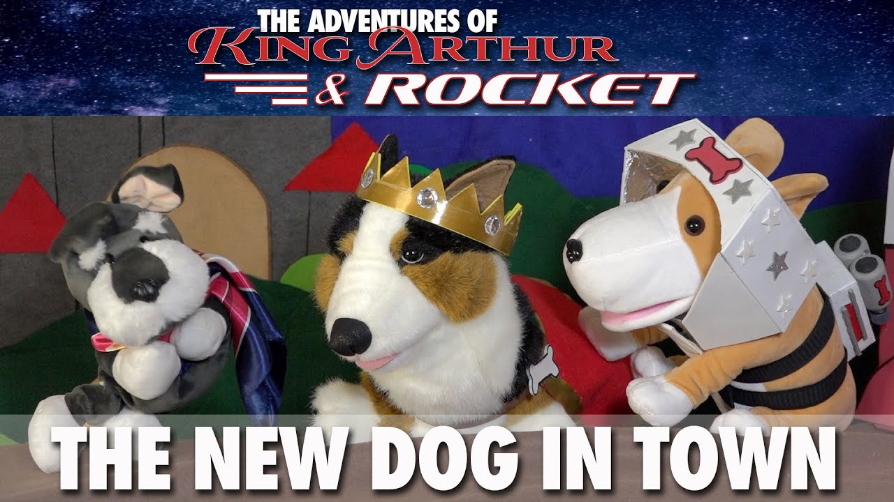 The New Dog in Town The Adventures of King Arthur & Rocket YouTube