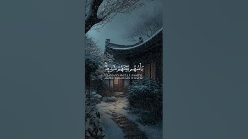 لا يقاتلونكم جميعا ||تلاوة خاشعة //بصوت القارئ صالح اليافعي⏱️ثواني تريح الاعصاب 🎧🤍🌿