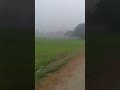 हवा कह रही है#postar #new #video #post