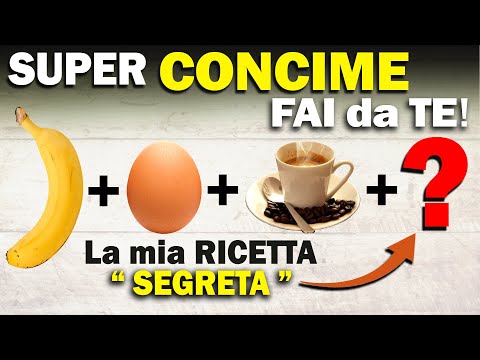 Video: Concime organico per alghe - Informazioni sui vantaggi del fertilizzante per alghe