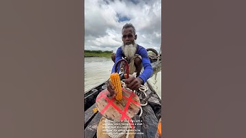 Ingenious Fishing Technique: Corn & Chain!