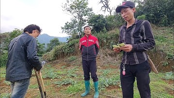 Hạnh Phúc Luôn Mỉm Cười Với Những Ai Kiên Trì-Dũng Cảm-Hăng Say Lao Động | Cói Lalin