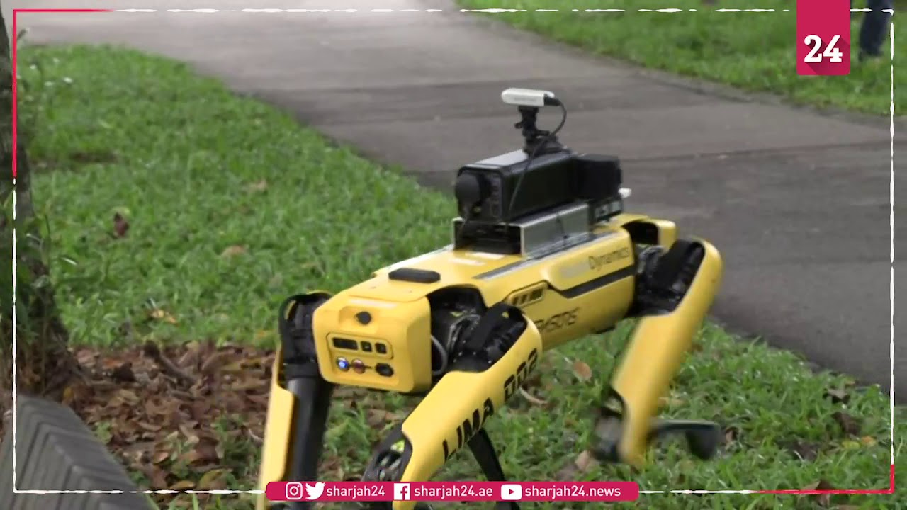 Robot dog on virus park patrol in Singapore YouTube