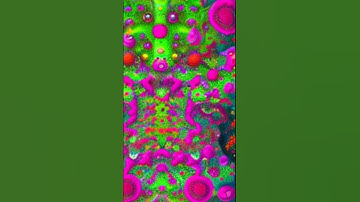 An integrated single cell and spatial transcriptomic map of human white adipose tissue | RTCL.TV