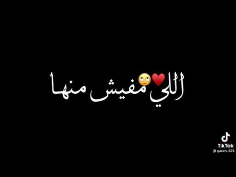 اغنية دي حبيبتي اللي مليش غيرها