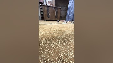 صلاة القيام ليلة ٢٨ رمضان ١٤٤٦ -محمد الرياطي - ماتيسر من سورة يوسف