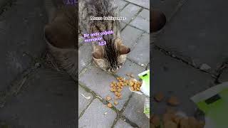 Hoşgeldi̇n Hafta Sonu Bi̇zi̇m Oralarda Hayat Zordurbi̇r Anda Çoğaldilarşfet