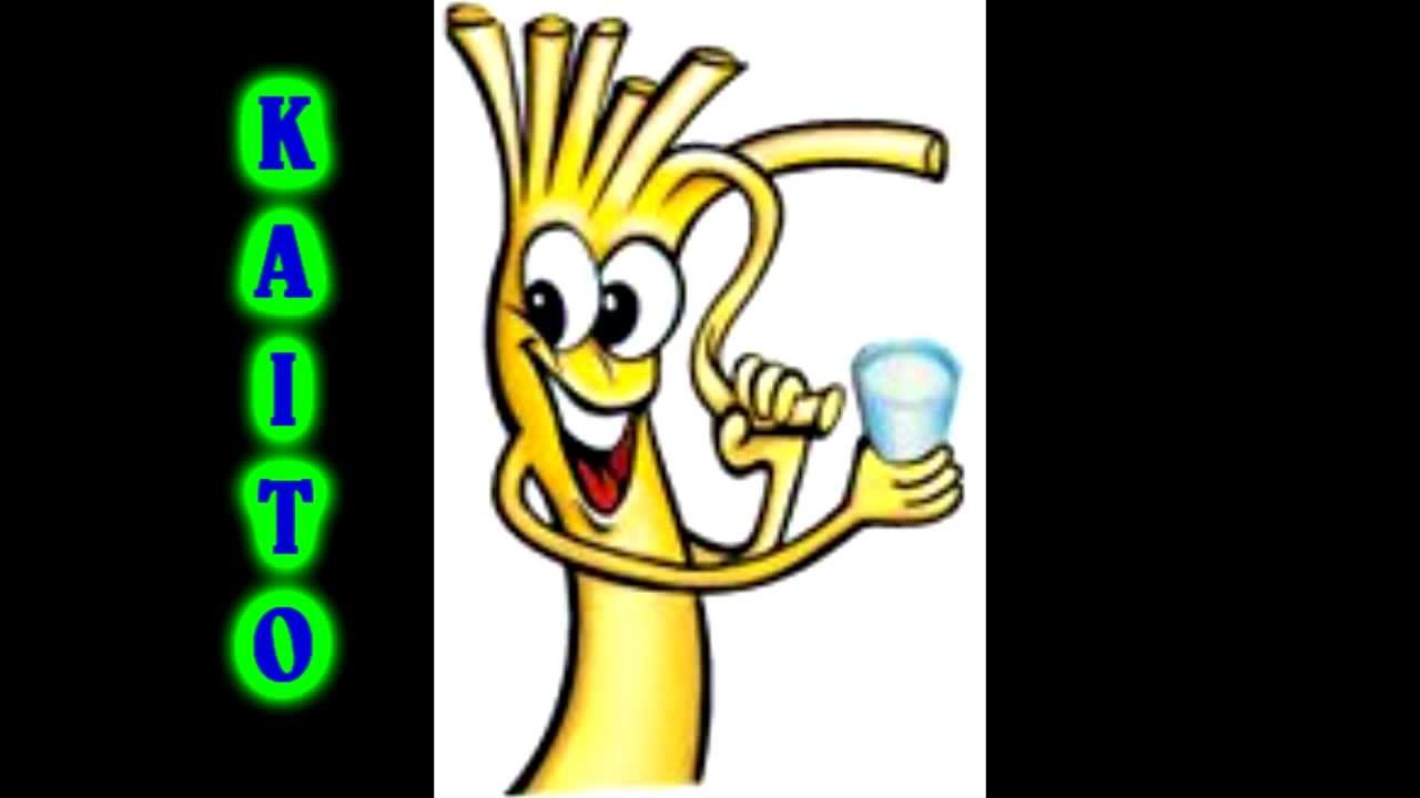Des fromages rigolo - YouTube