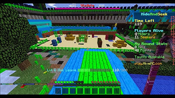 The Leaf That Got Away | HiveMC-Hide & Seek