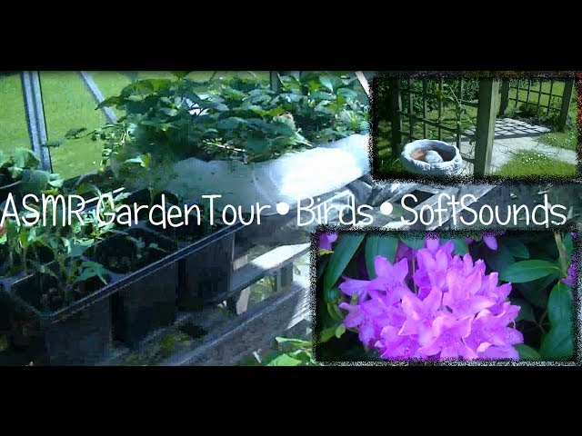 ♥ASMR♥ GardenTour•Birds•SoftSounds
