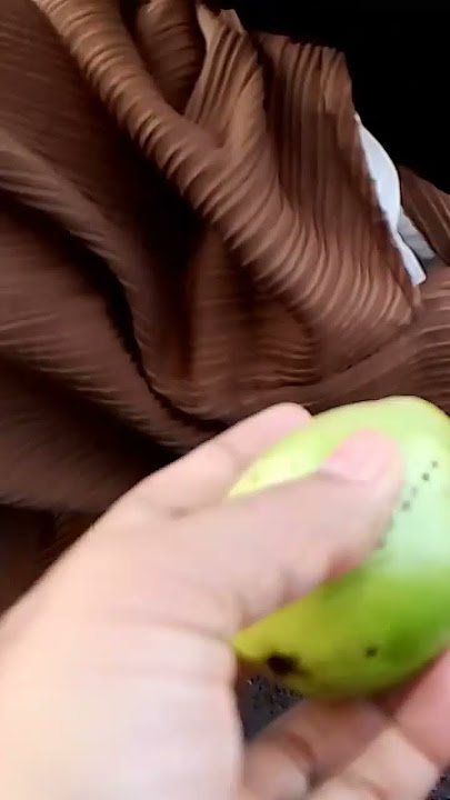 Mau makan jambu aja bisik bisik tetangga dulu🤣🤣🤣🤭 #jambu#makanan