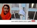 یعقوبی: زنان زندانی در بازداشت طالبان زیر فشار و بدرفتاری قرار دارند