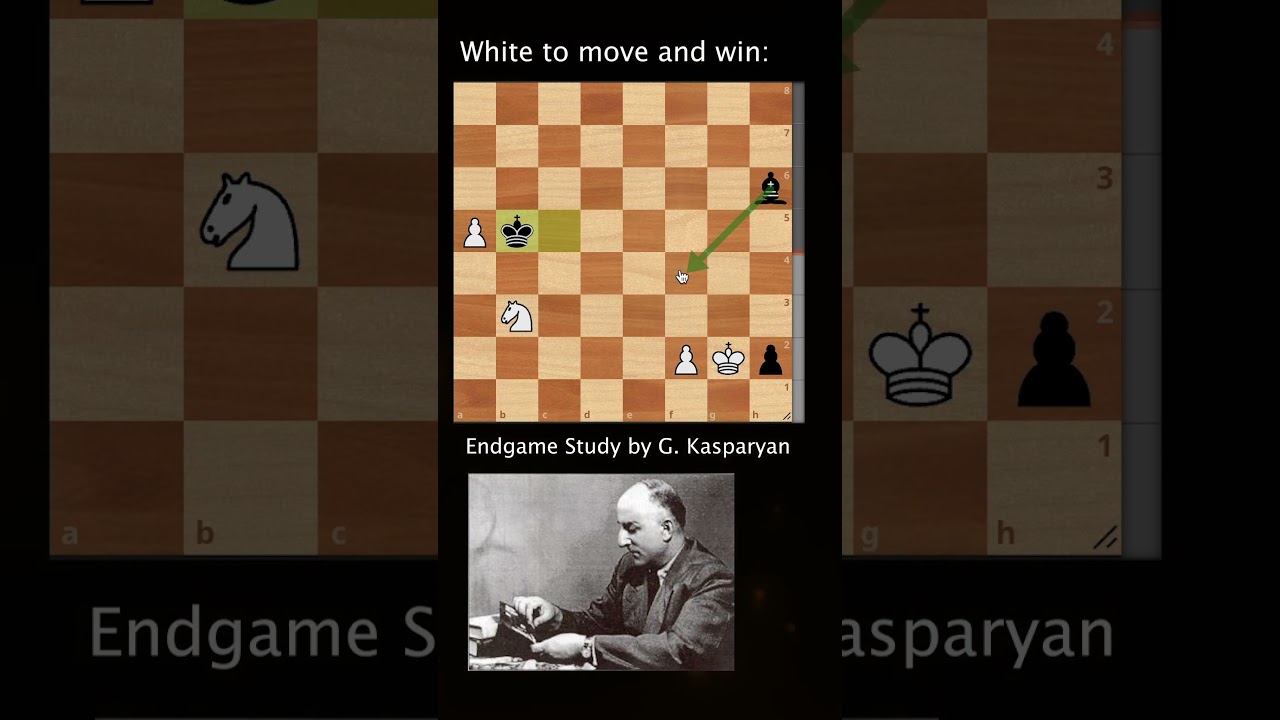 Domination! A Beautiful Chess Endgame Study