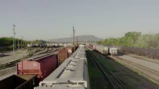 pexels kelly lacy 7683191