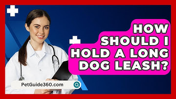 How Should I Hold A Long Dog Leash? - PetGuide360.com