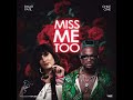 Swati Patil ft Chile One - Miss Me Too (Official Audio)