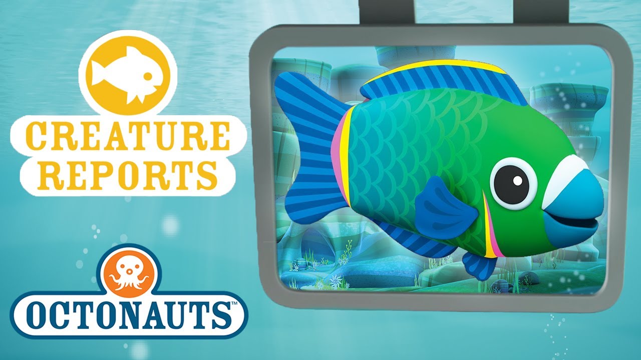 Octonauts Sea Animals Sailfish | Octonauts Wiki | Fandom
