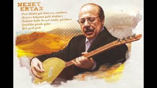 Neşet Ertaş - Kalpten Kalbe Bir Yol Vardır... / Rgost