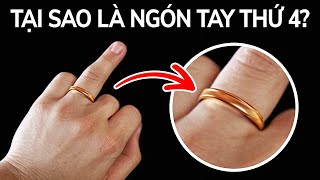 99 sự thật trả lời tất cả câu hỏi 